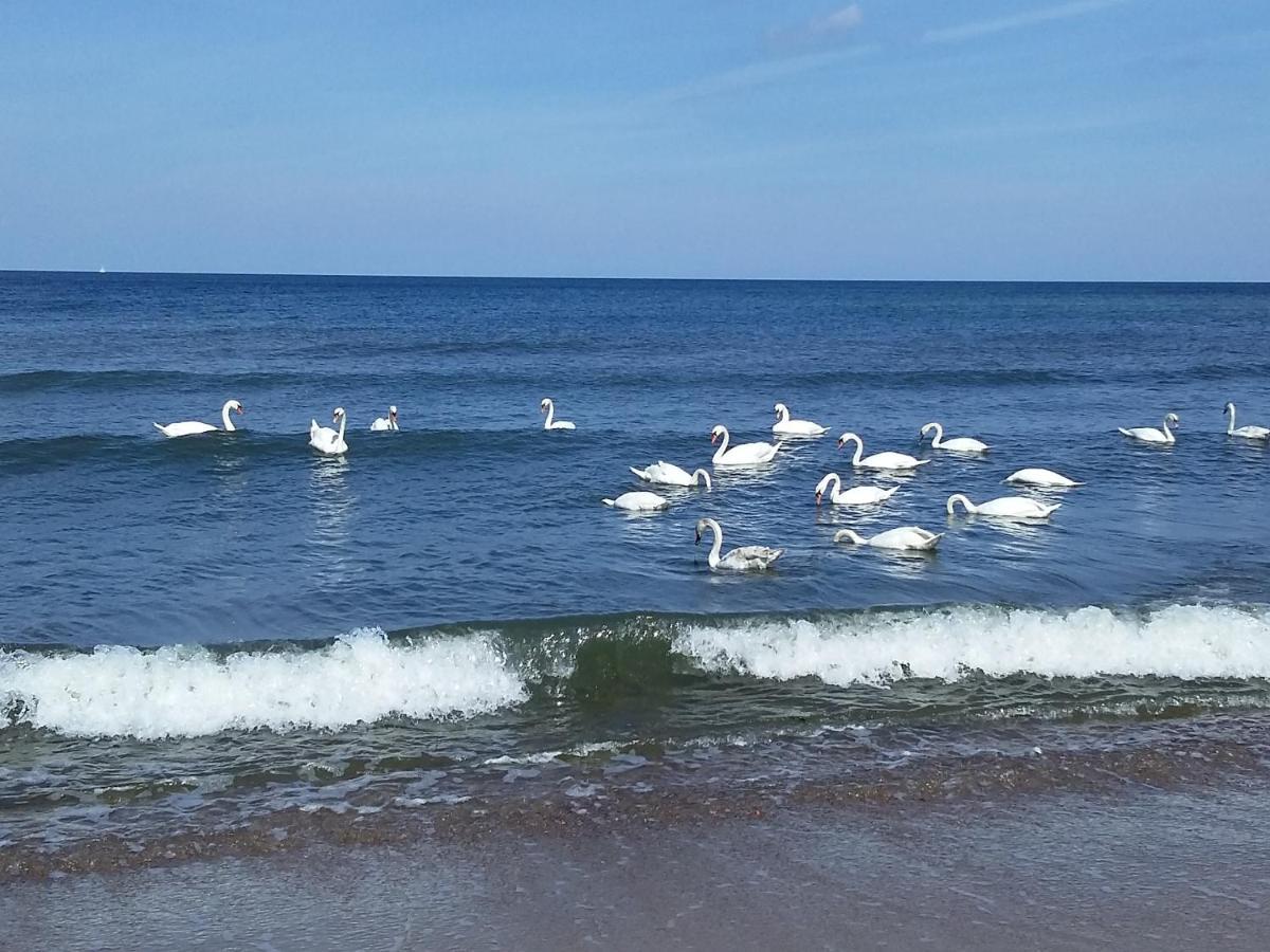 Sea & You Apartament Z Widokiem Na Morze - Dwie Sosny Ustronie Morskie Dış mekan fotoğraf